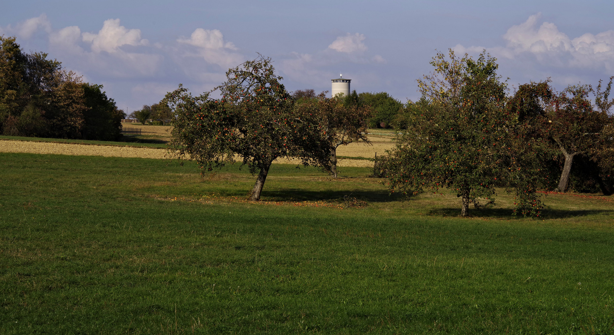 Herbst auf der Hochebene