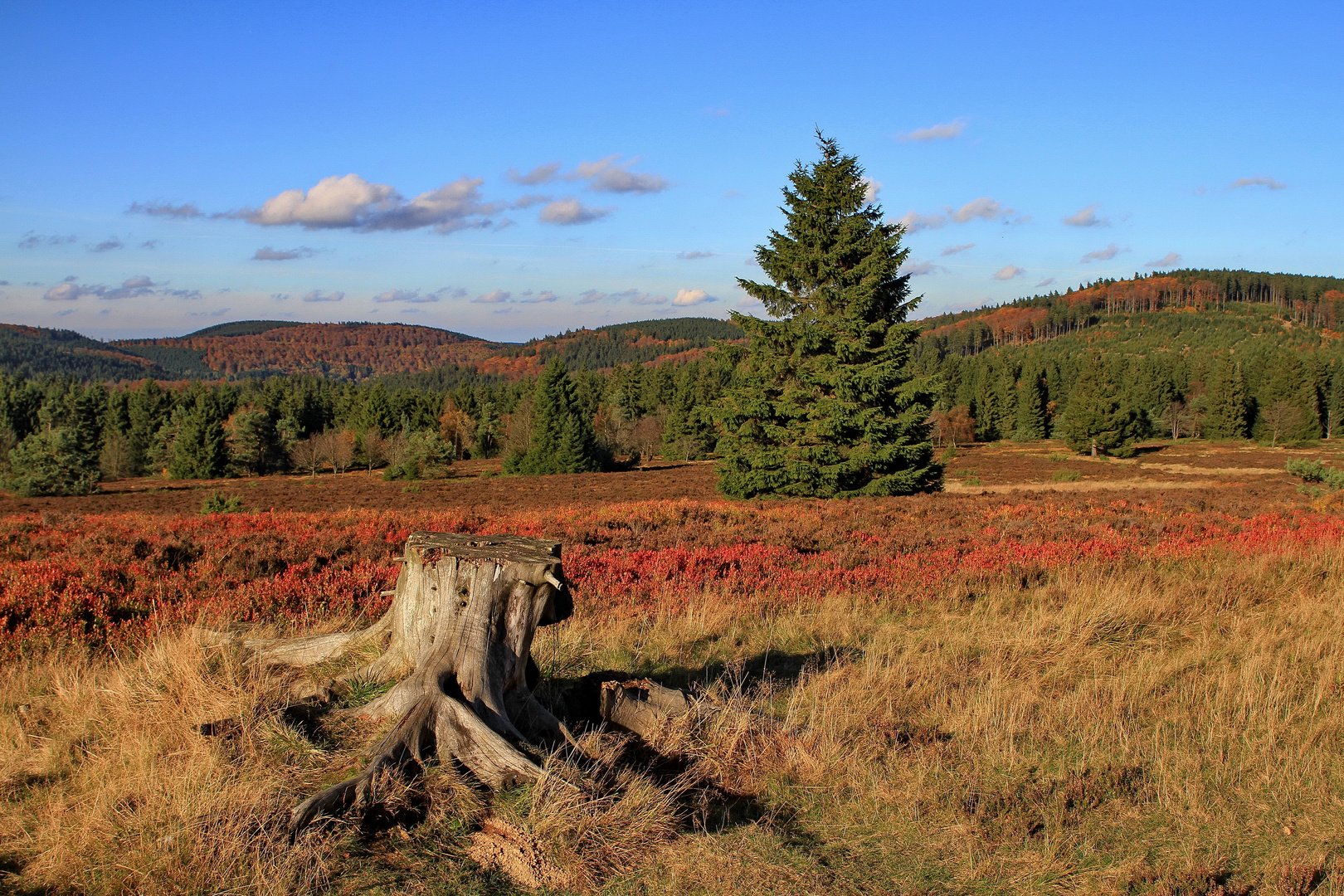 Herbst auf der Hochheide...