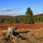 Herbst auf der Hochheide...