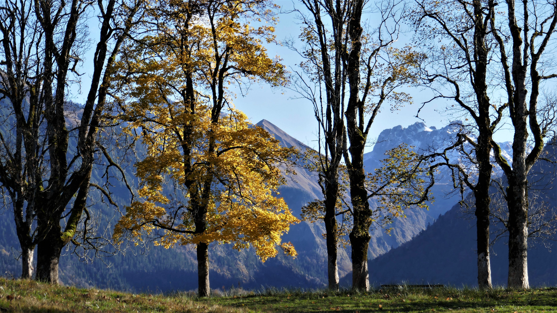 Herbst auf der Hofmannsruh, ... 