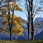 Herbst auf der Hofmannsruh, ... 