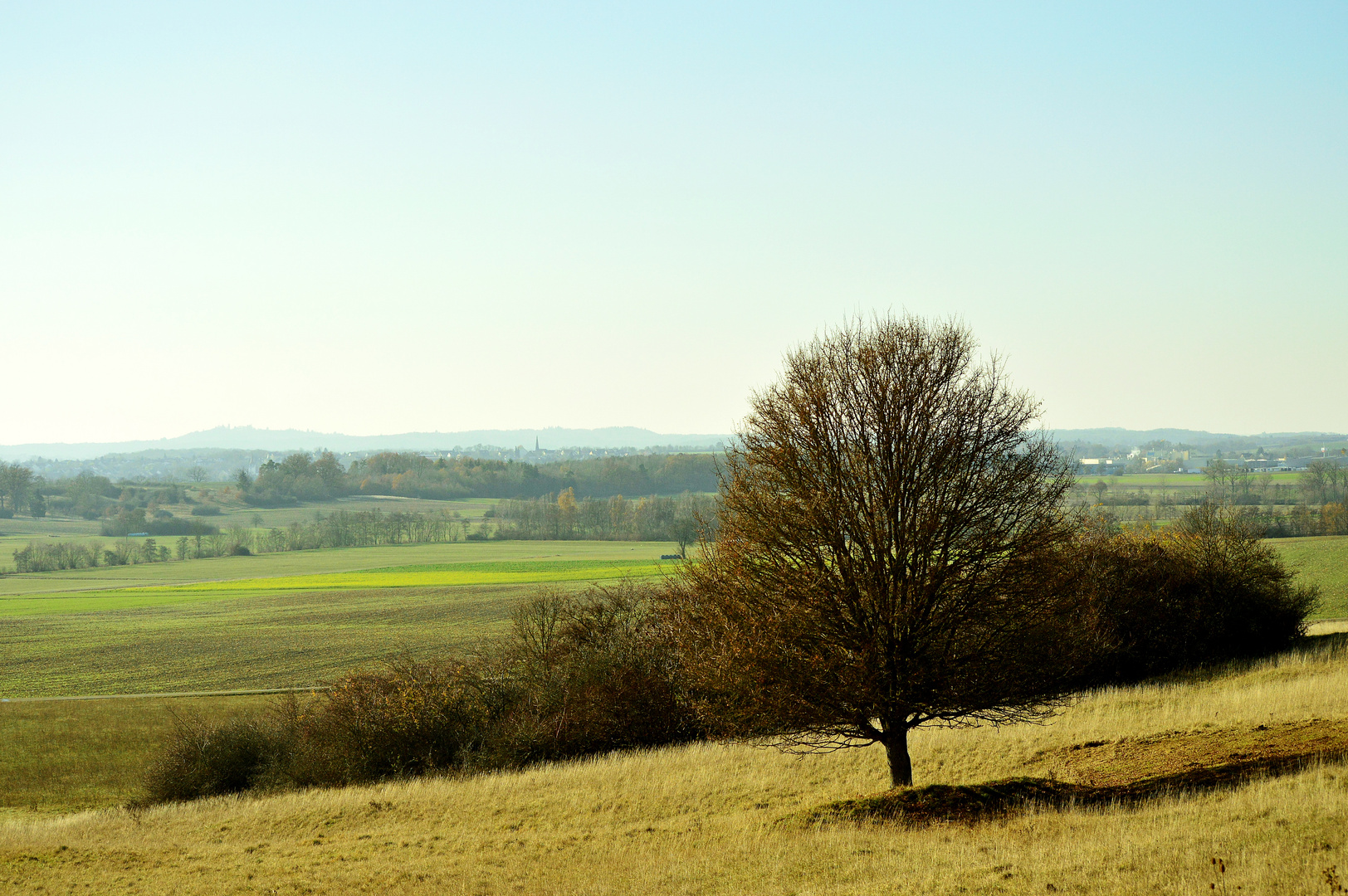 Herbst auf der Hohenloher Ebene  