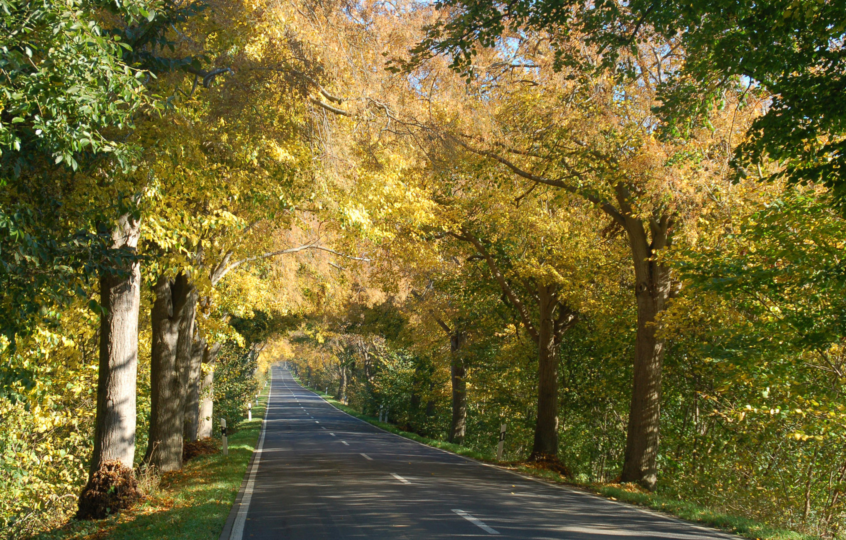 Herbst auf der Insel (1)