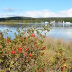 Herbst auf der Insel 