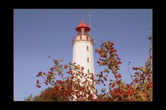 Herbst auf der Insel