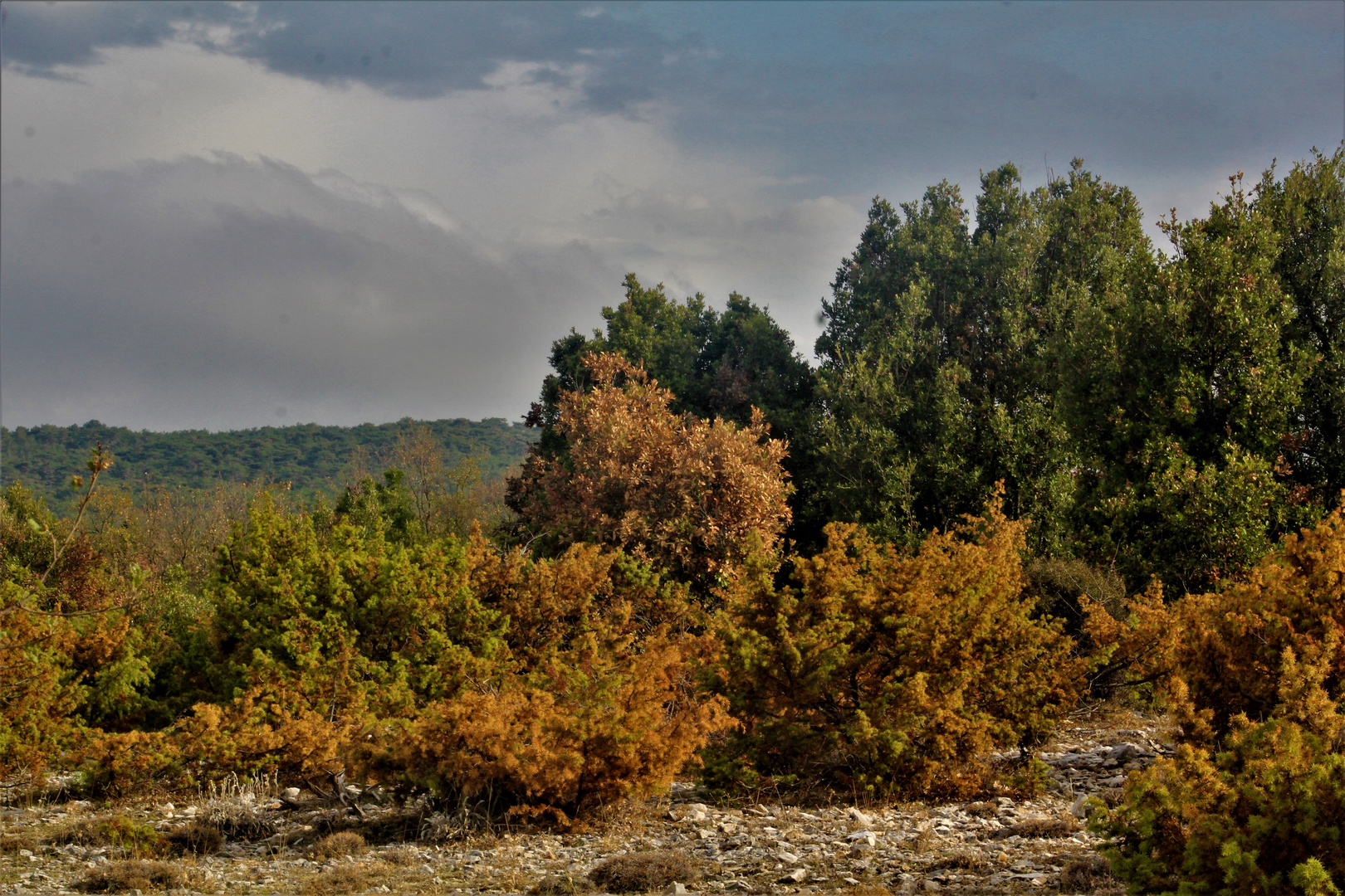 Herbst auf der Insel