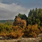 Herbst auf der Insel