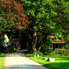 Herbst auf der Insel