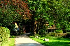 Herbst auf der Insel