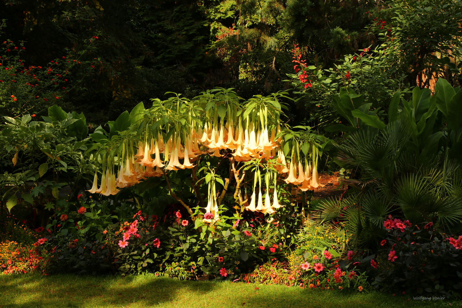 Herbst auf der Insel Mainau