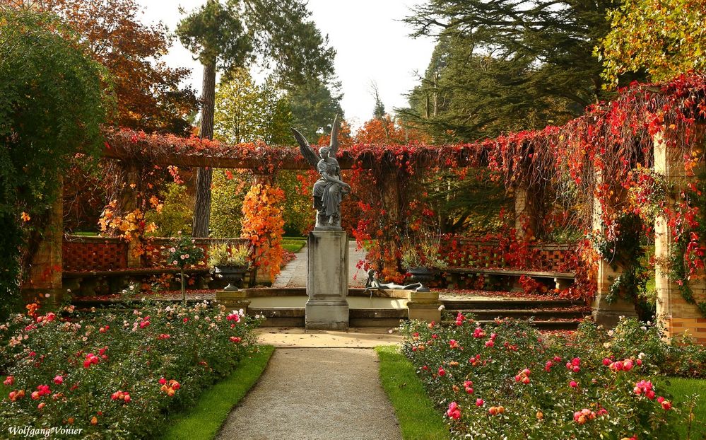 Herbst auf der Insel Mainau