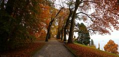 Herbst auf der Insel Mainau