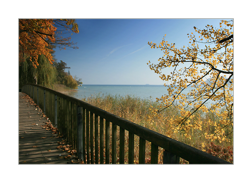 Herbst auf der Insel Mainau