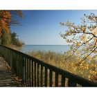 Herbst auf der Insel Mainau