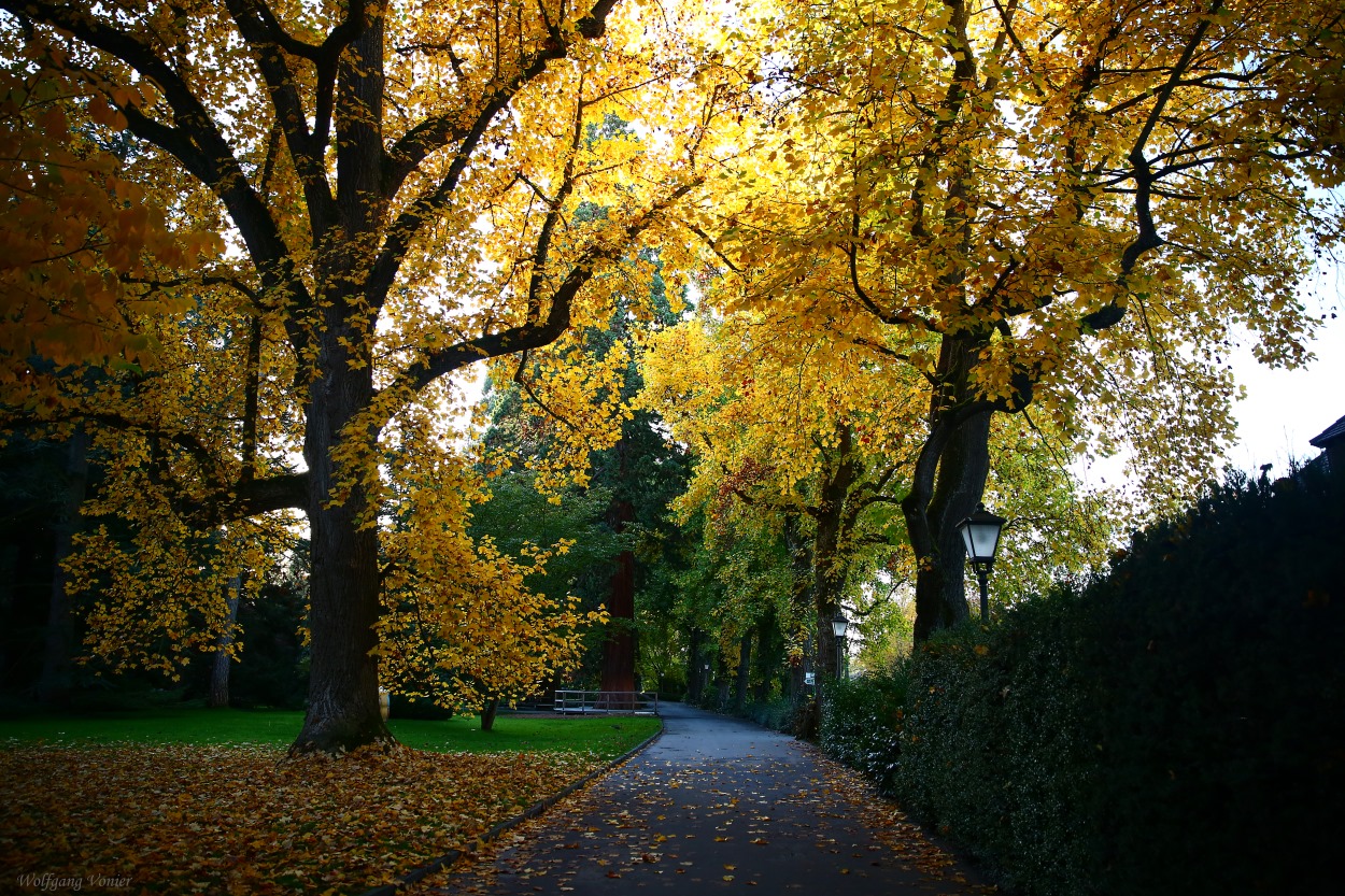 Herbst auf der Insel Mainau