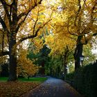 Herbst auf der Insel Mainau