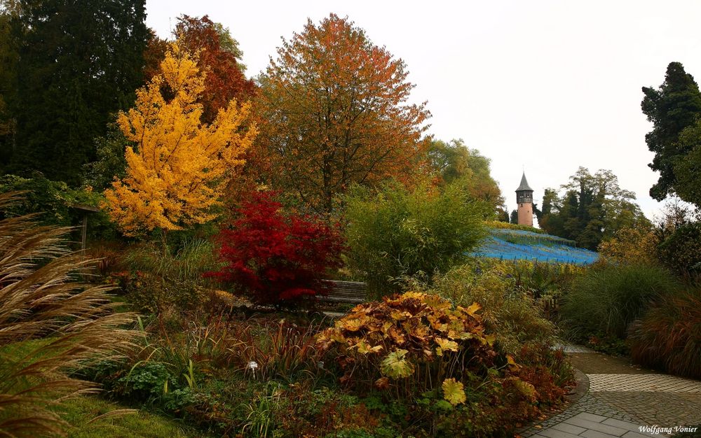 Herbst auf der Insel Mainau Foto & Bild landschaft, garten