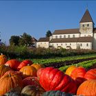 Herbst auf der Insel Reichenau