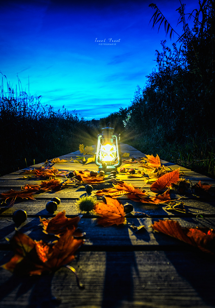 Herbst auf der Insel Rügen