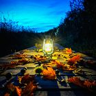 Herbst auf der Insel Rügen