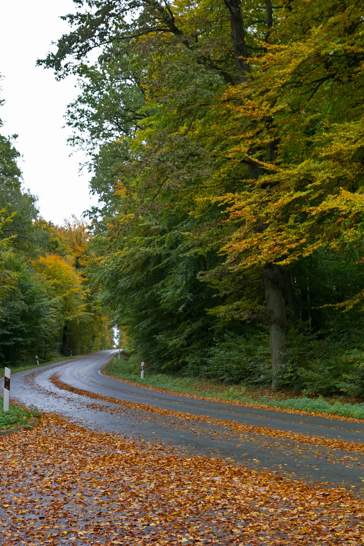 Herbst auf der Landstraße