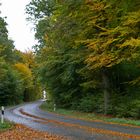 Herbst auf der Landstraße