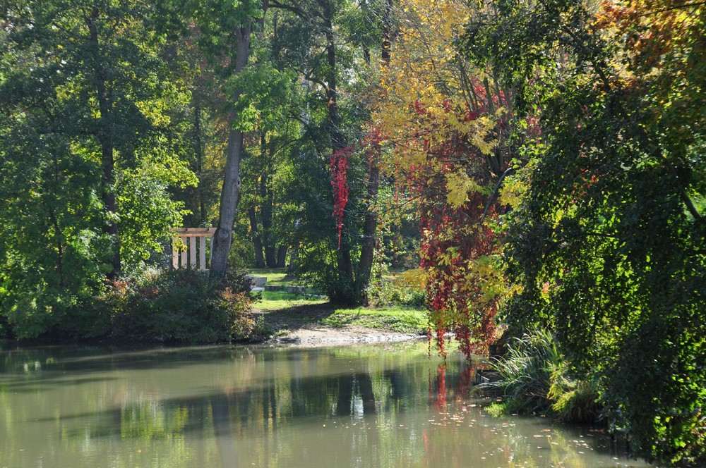 Herbst auf der Liebesinsel in Abensberg