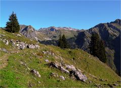 Herbst auf der Lugenalpe