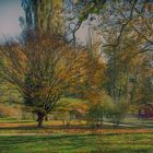 Herbst auf der Mainau