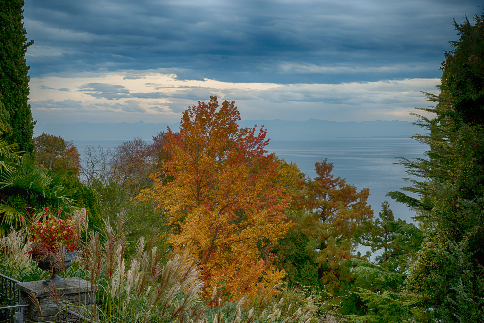 Herbst auf der Mainau 2