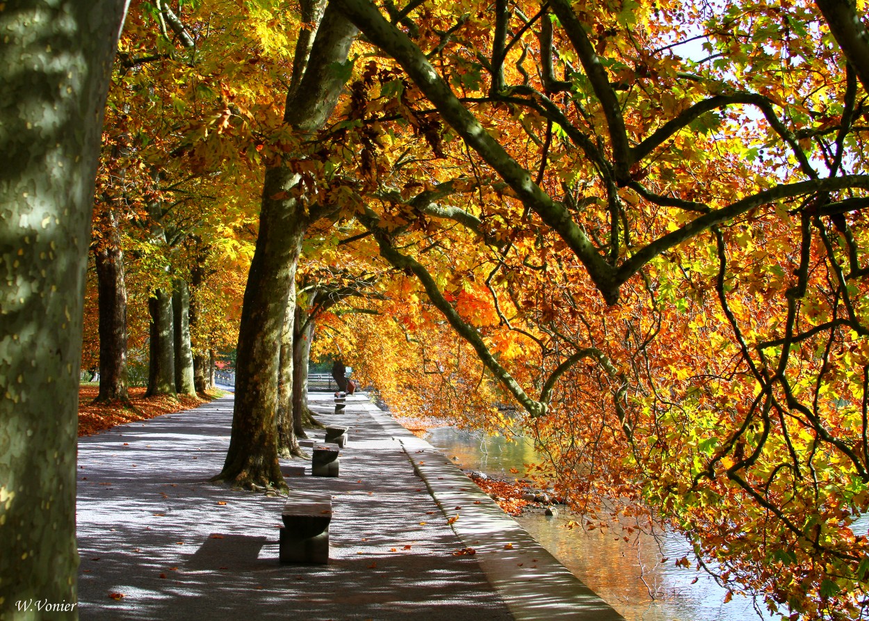 Herbst auf der Mainau