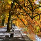 Herbst auf der Mainau