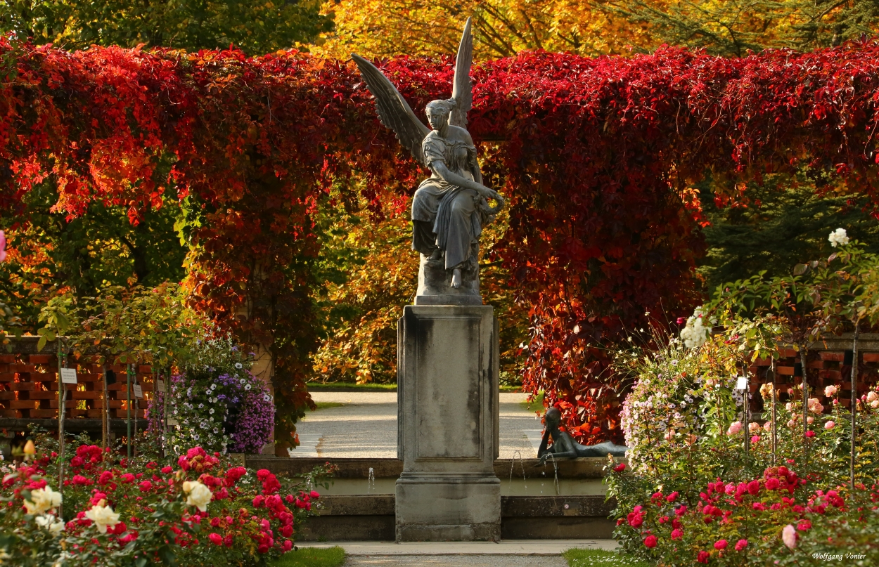 Herbst auf der Mainau