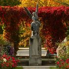 Herbst auf der Mainau