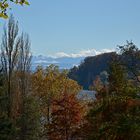 Herbst auf der Mainau, Mainau im November