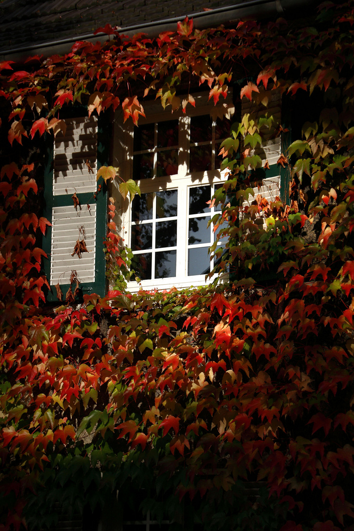 Herbst auf der Margarethenhöhe in Essen