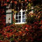 Herbst auf der Margarethenhöhe in Essen