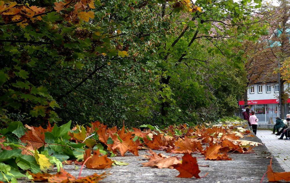 Herbst auf der Mauer