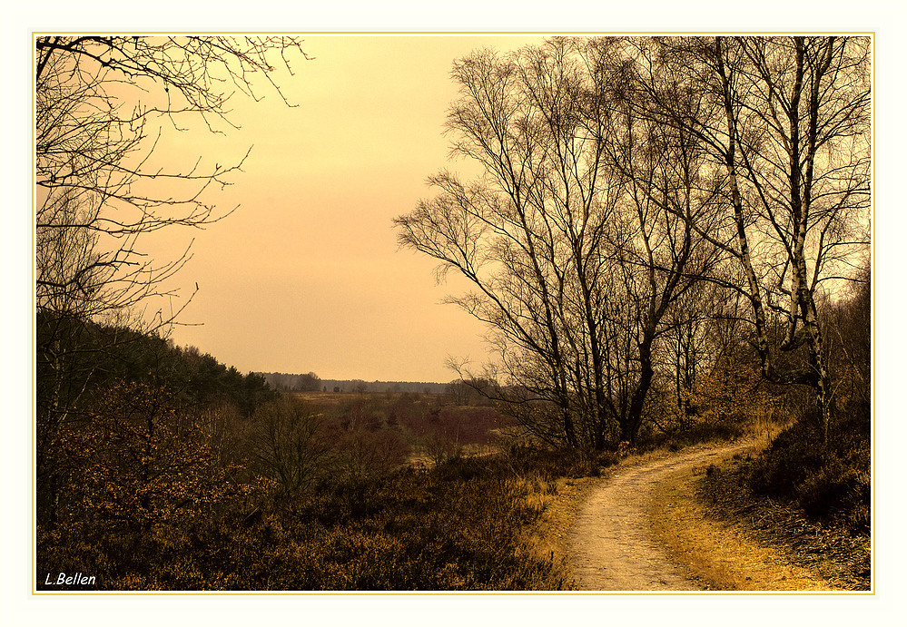 " Herbst auf der Mechelse Heide "