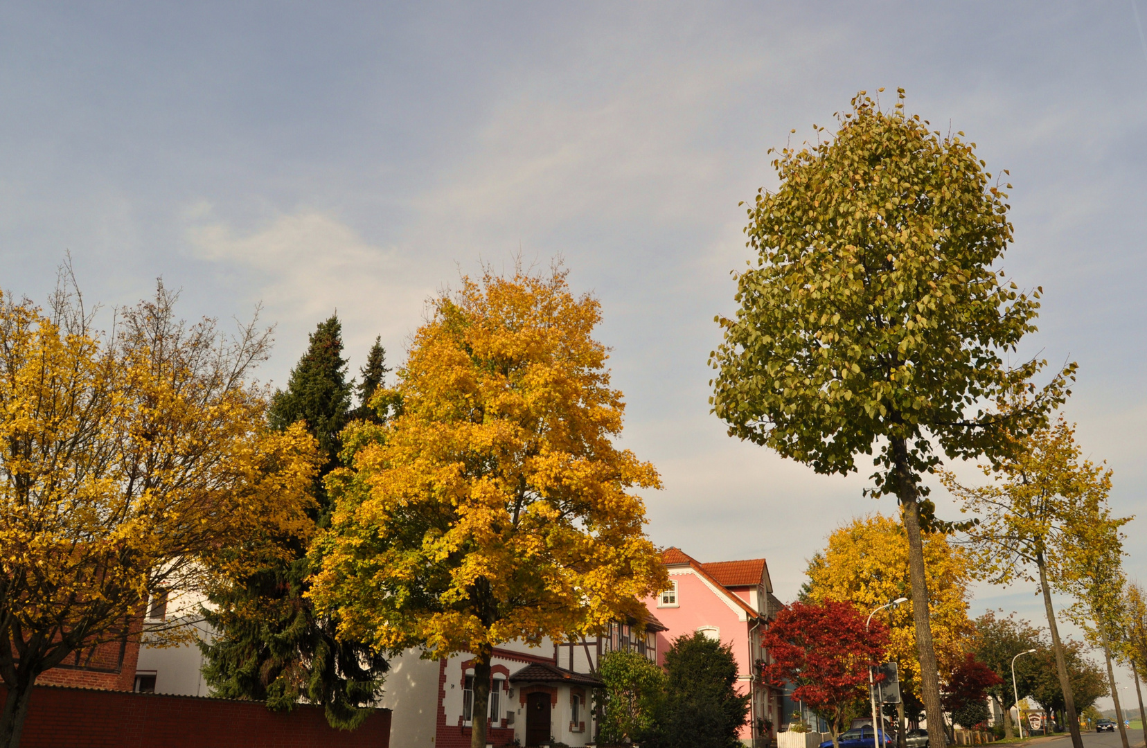 Herbst auf der Mingeröderstraße