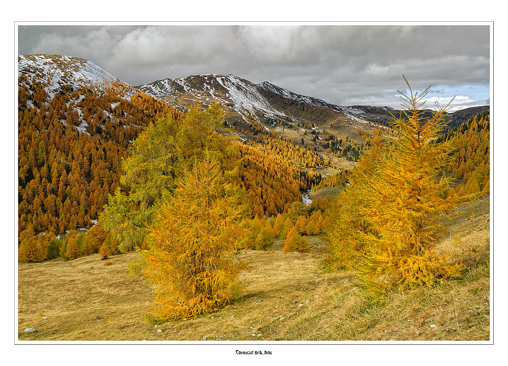 Herbst auf der Nockalm