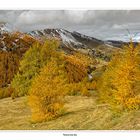 Herbst auf der Nockalm