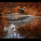 Herbst auf der Oker