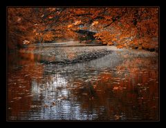 Herbst auf der Oker