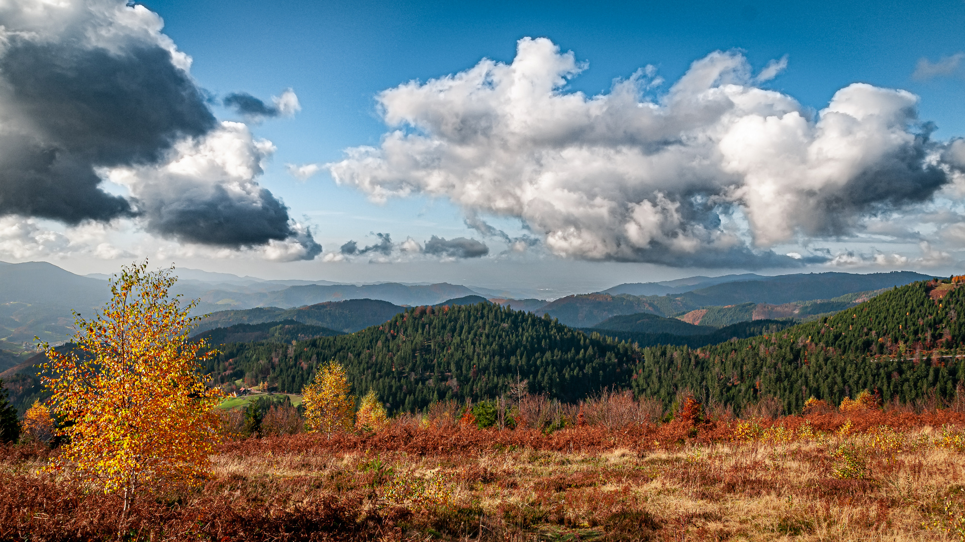 Herbst auf der Oppenauer Steige 