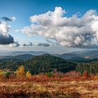 Herbst auf der Oppenauer Steige 