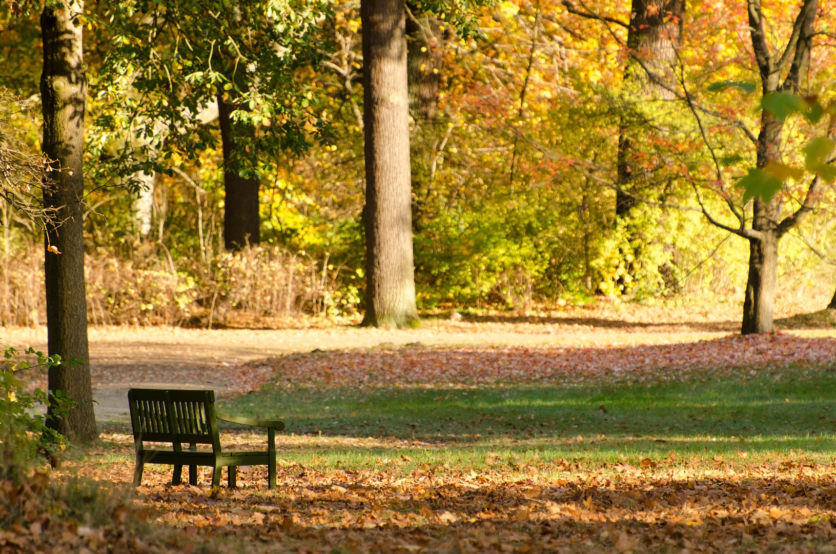 Herbst auf der Pfaueninsel 2