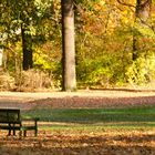 Herbst auf der Pfaueninsel 2