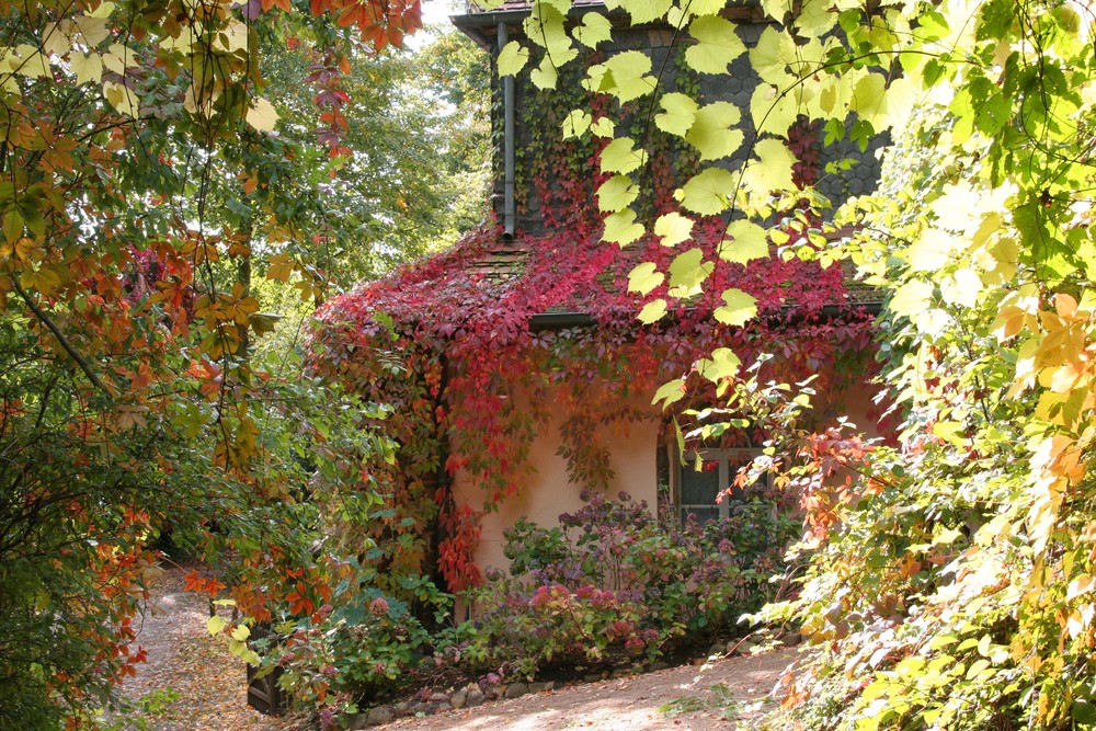 Herbst auf der Pfaueninsel