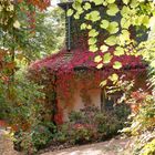 Herbst auf der Pfaueninsel